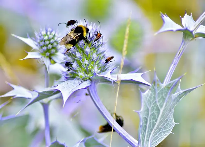 Апартаменты Bajkowa Plaza - Amber Гданьск