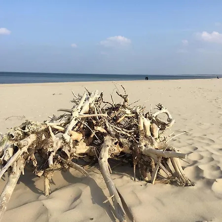 Bajkowa Plaza - Amber * Danzig