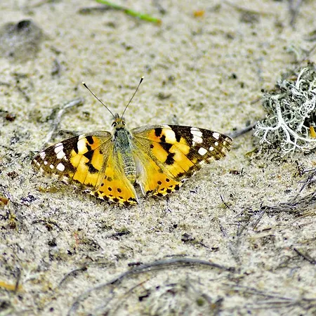 Bajkowa Plaza - Amber Apartment Gdansk