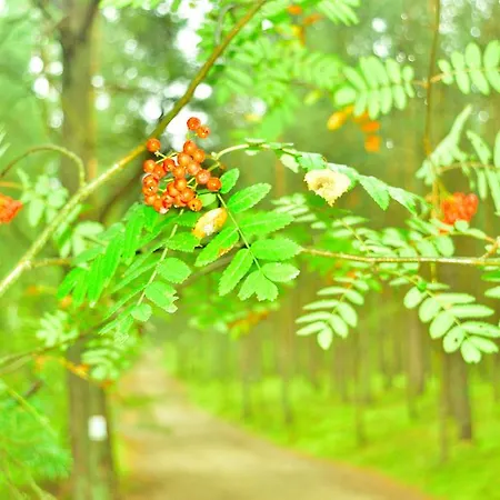 Apartment Bajkowa Plaza - Amber *