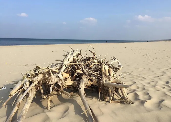 Bajkowa Plaza - Amber * Gdańsk