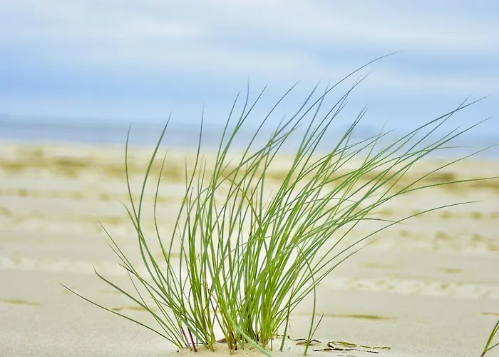 Appartement Bajkowa Plaza - Amber *