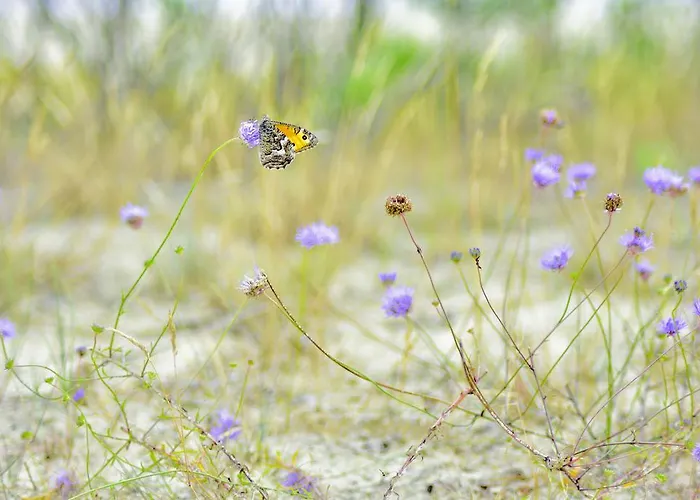 Bajkowa Plaza - Amber Appartement Gdańsk