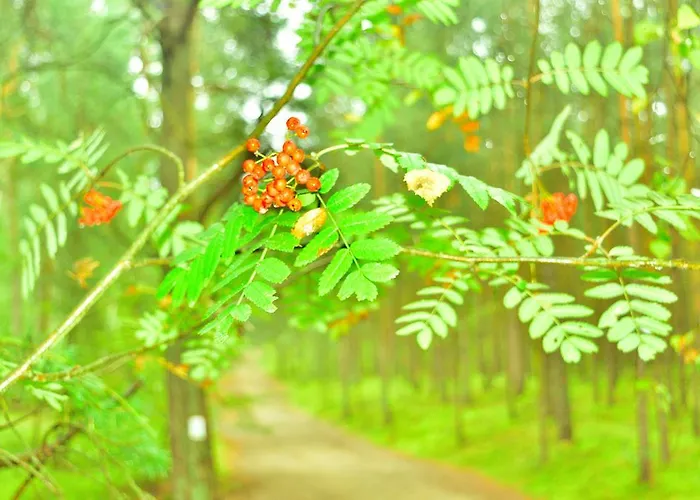 Appartement Bajkowa Plaza - Amber *