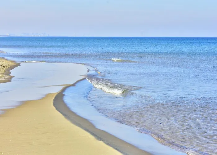Bajkowa Plaza - Amber Gdańsk