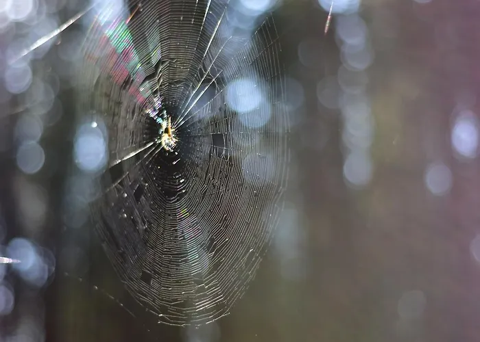 Bajkowa Plaza - Amber Appartement Gdańsk