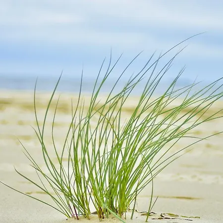 Appartamento Bajkowa Plaza - Amber *