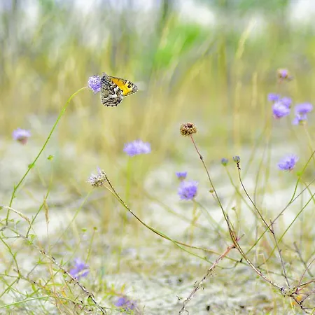 Bajkowa Plaza - Amber Appartamento Danzica