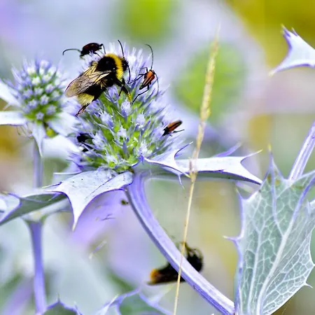 Appartamento Bajkowa Plaza - Amber Danzica