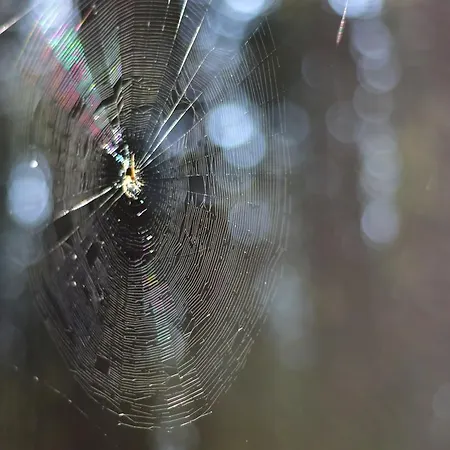Bajkowa Plaza - Amber Appartamento Danzica